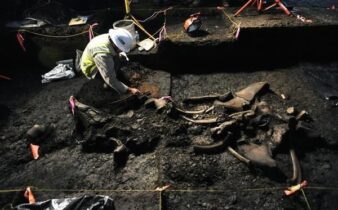 Archäologische Ausgrabung freigelegter Tierknochen im dunklen Erdreich