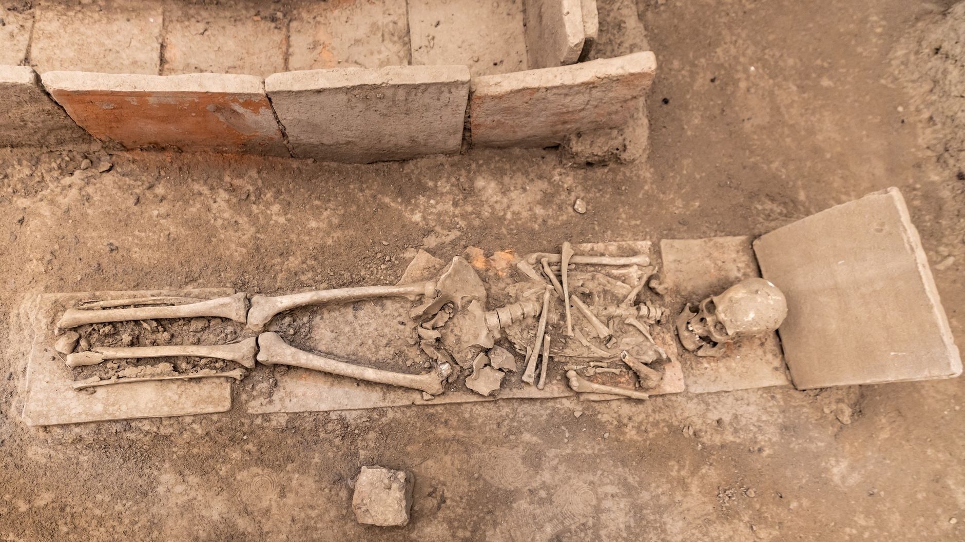 Freigelegtes menschliches Skelett bei einer archäologischen Ausgrabung