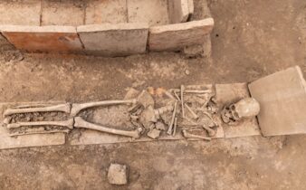 Freigelegtes menschliches Skelett bei einer archäologischen Ausgrabung